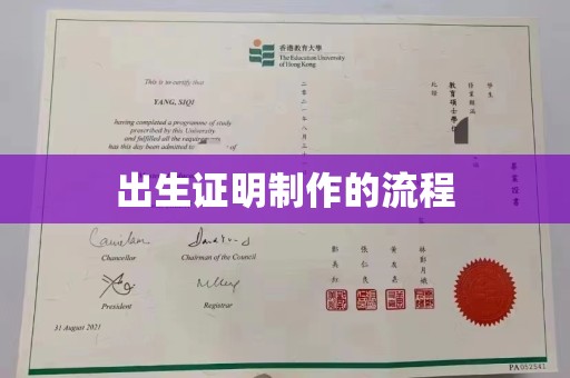 通川出生证明制作的流程